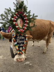 Tux-Finkenberg-Wandern-2019-040