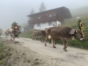 Tux-Finkenberg-Wandern-2019-041