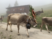 Tux-Finkenberg-Wandern-2019-042