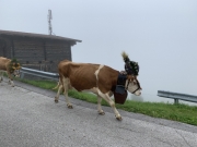 Tux-Finkenberg-Wandern-2019-045