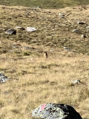 Tux-Finkenberg-Wandern-2019-062