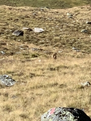 Tux-Finkenberg-Wandern-2019-063