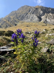 Tux-Finkenberg-Wandern-2019-066