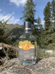 Tux-Finkenberg-Wandern-2019-083