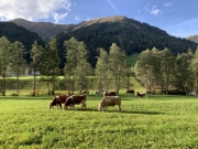 Tux-Finkenberg-Wandern-2019-090
