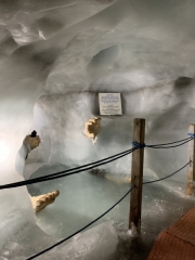 Tux-Finkenberg-Wandern-2019-128