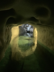 Tux-Finkenberg-Wandern-2019-135