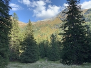Tux-Finkenberg-Wandern-2019-163