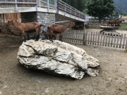 Tux-Finkenberg-Wandern-2019-172