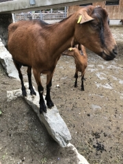Tux-Finkenberg-Wandern-2019-173