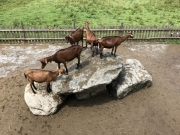 Tux-Finkenberg-Wandern-2019-176