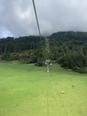 Tux-Finkenberg-Wandern-2019-190