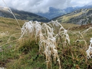 Tux-Finkenberg-Wandern-2019-193
