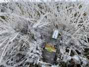 Tux-Finkenberg-Wandern-2019-198