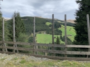 Tux-Finkenberg-Wandern-2019-214