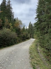 Tux-Finkenberg-Wandern-2019-217