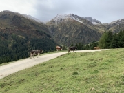 Tux-Finkenberg-Wandern-2019-222