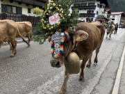 Tux-Finkenberg-Wandern-2019-234