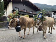 Tux-Finkenberg-Wandern-2019-235