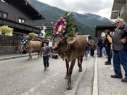 Tux-Finkenberg-Wandern-2019-236