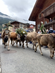Tux-Finkenberg-Wandern-2019-238