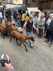 Tux-Finkenberg-Wandern-2019-239