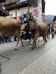 Tux-Finkenberg-Wandern-2019-241