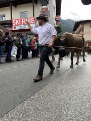 Tux-Finkenberg-Wandern-2019-242