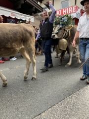 Tux-Finkenberg-Wandern-2019-244