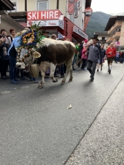 Tux-Finkenberg-Wandern-2019-245