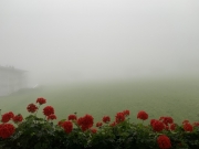 Tux-Finkenberg-Wandern-2019-250