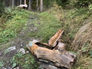 Tux-Finkenberg-Wandern-2019-256