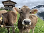 Tux-Finkenberg-Wandern-2019-260