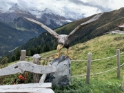 Tux-Finkenberg-Wandern-2019-269