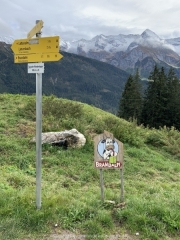 Tux-Finkenberg-Wandern-2019-270