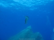 Malta-2020-055