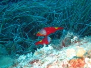 Malta-2020-089