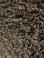 Bad-Duerkheim-10-2020-015