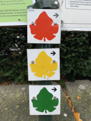 Bad-Duerkheim-10-2020-023