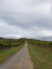 Bad-Duerkheim-10-2020-026