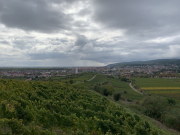 Bad-Duerkheim-10-2020-028