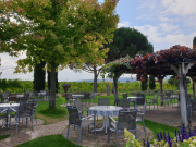 Bad-Duerkheim-10-2020-037