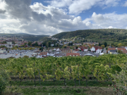 Bad-Duerkheim-10-2020-042