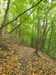 Bad-Duerkheim-10-2020-054