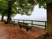 Bad-Duerkheim-10-2020-060