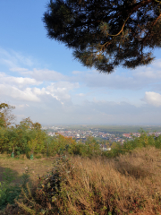 Bad-Duerkheim-10-2020-072