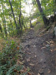 Bad-Duerkheim-10-2020-073