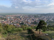 Bad-Duerkheim-10-2020-074