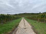 Bad-Duerkheim-10-2020-087