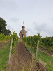 Bad-Duerkheim-10-2020-089